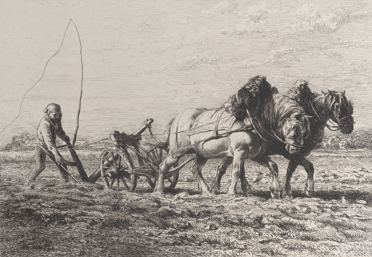 Aratura, 1864 da Charles Emile Jacque