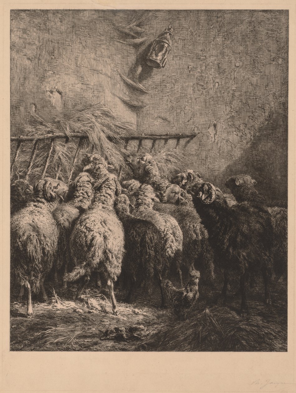 Recinto per Pecore in Béarn da Charles Emile Jacque
