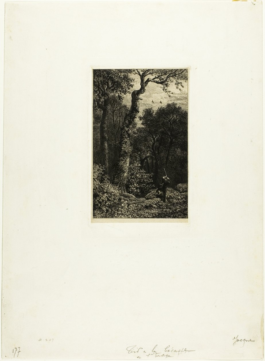 Caccia alla beccaccia da Charles Emile Jacque