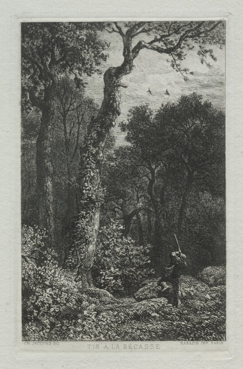 Caccia alla beccaccia da Charles Emile Jacque