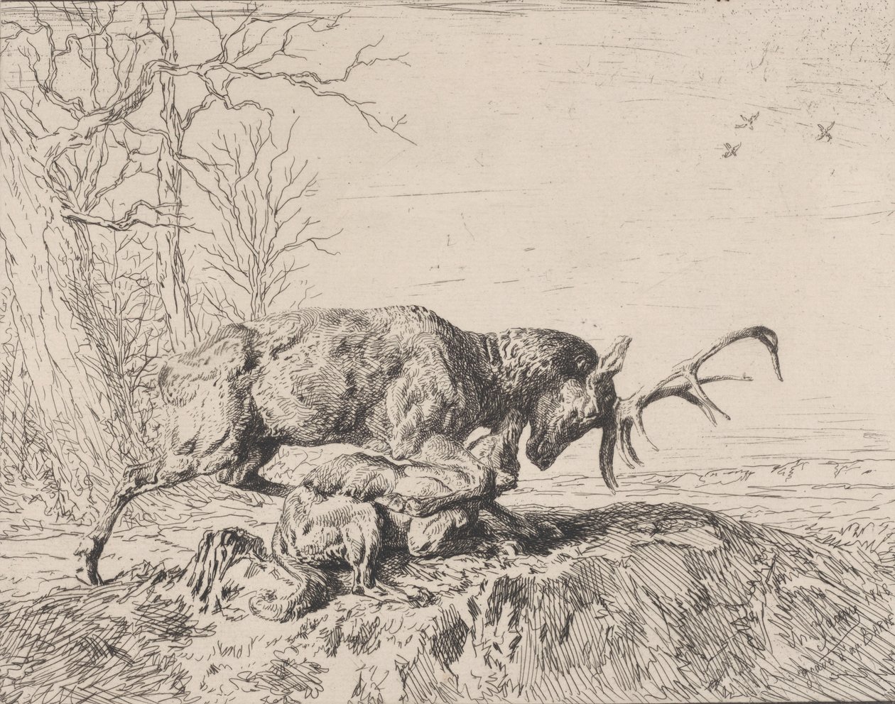 Cervo che Combatte un Lupo, dopo Antoine Louis Barye, 1846 da Charles Emile Jacque