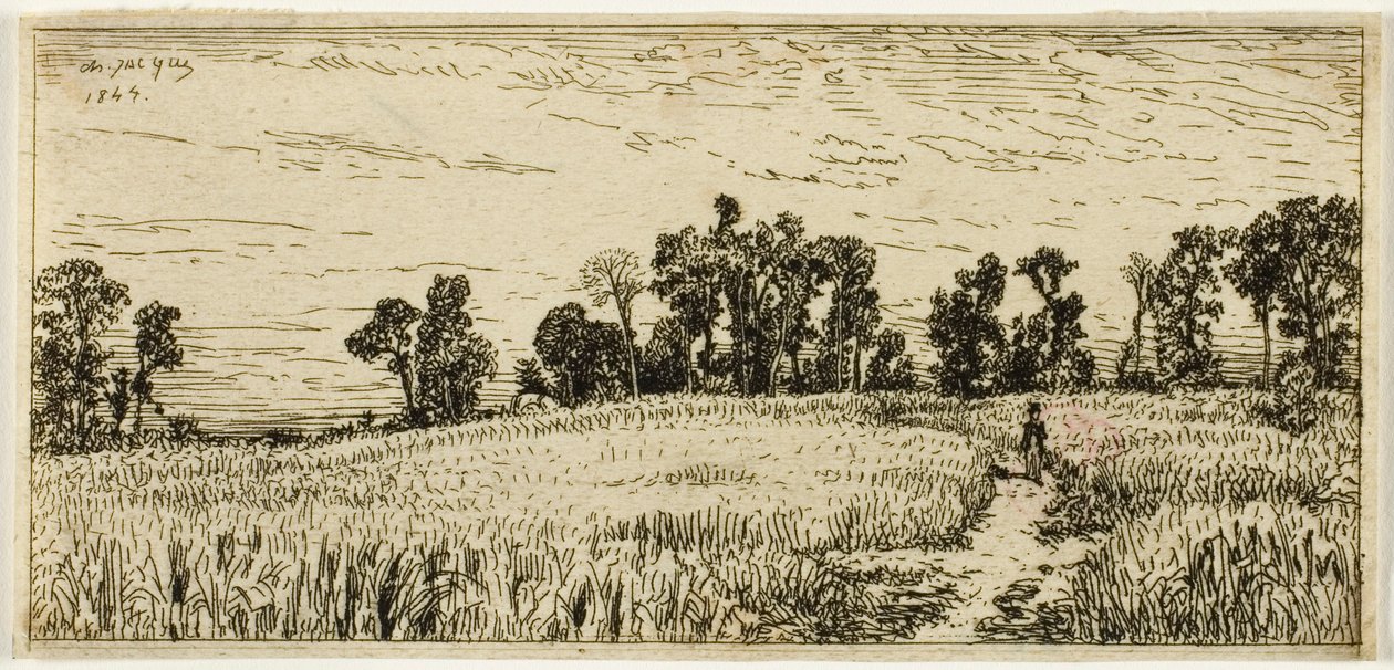 Campo di grano da Charles Emile Jacque
