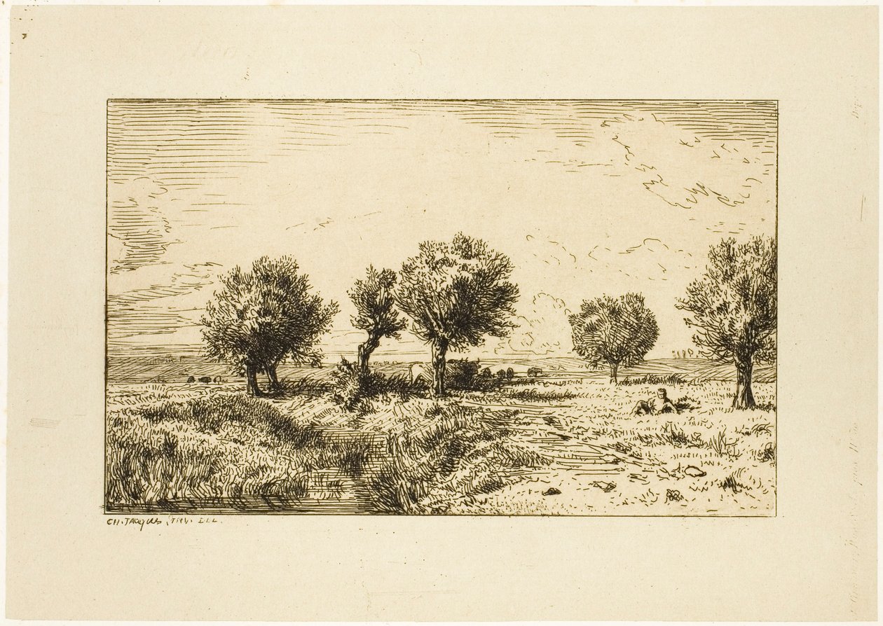 Salici in un Paesaggio da Charles Emile Jacque