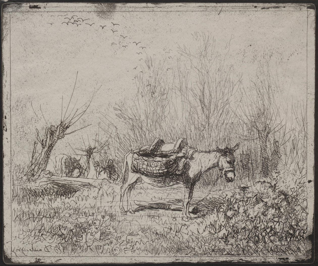Un asino nel campo, impressione originale 1862, stampata nel 1921 da Charles Francois Daubigny