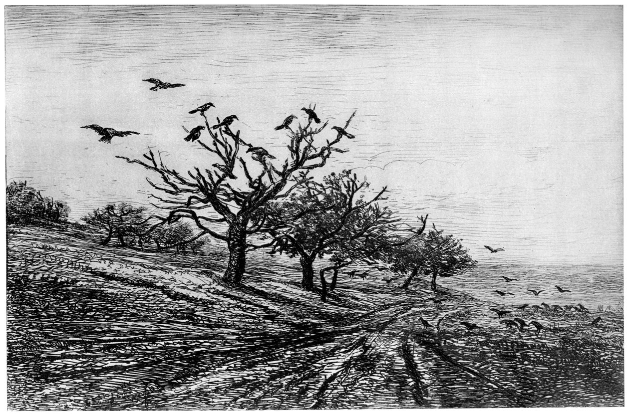 Arbre a Corbeaux, 1840-1875, 1924 da Charles Francois Daubigny