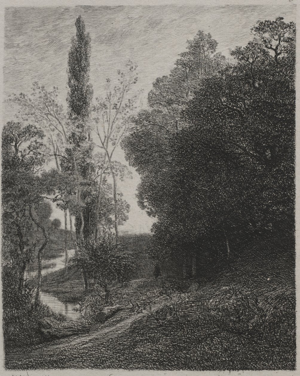Sponde del fiume Cousin da Charles Francois Daubigny