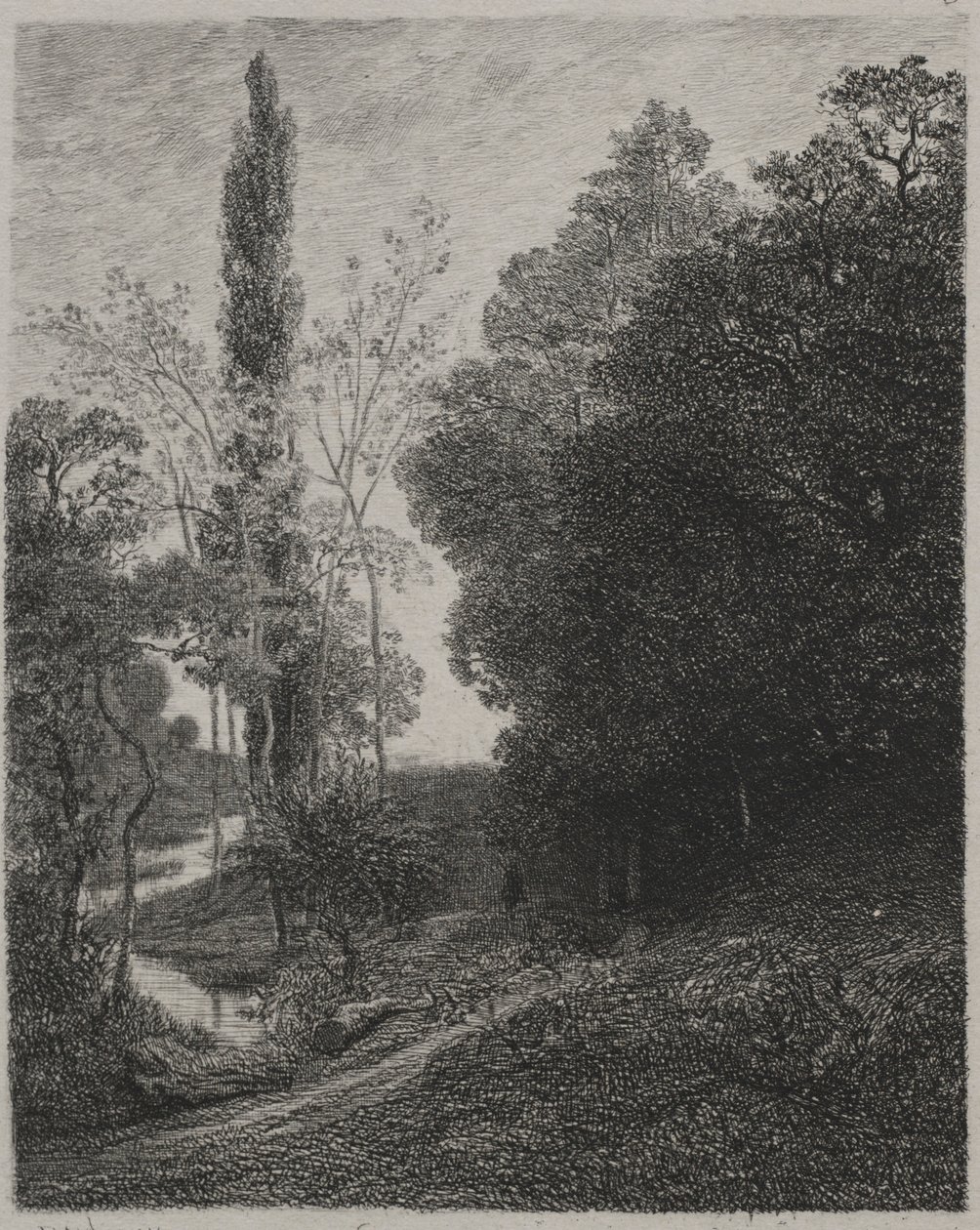 Sponde del Fiume Cousin, 1850 da Charles Francois Daubigny