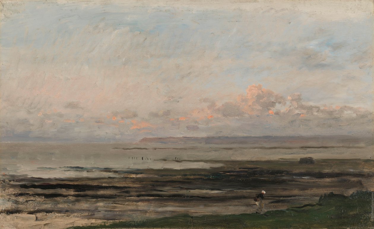 Spiaggia con bassa marea da Charles Francois Daubigny