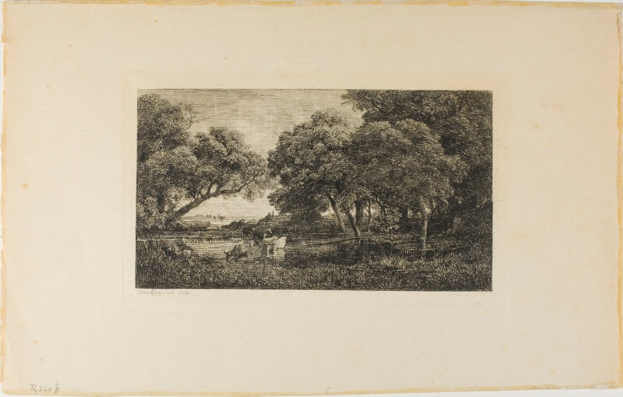Bovini presso una pozza da Charles Francois Daubigny