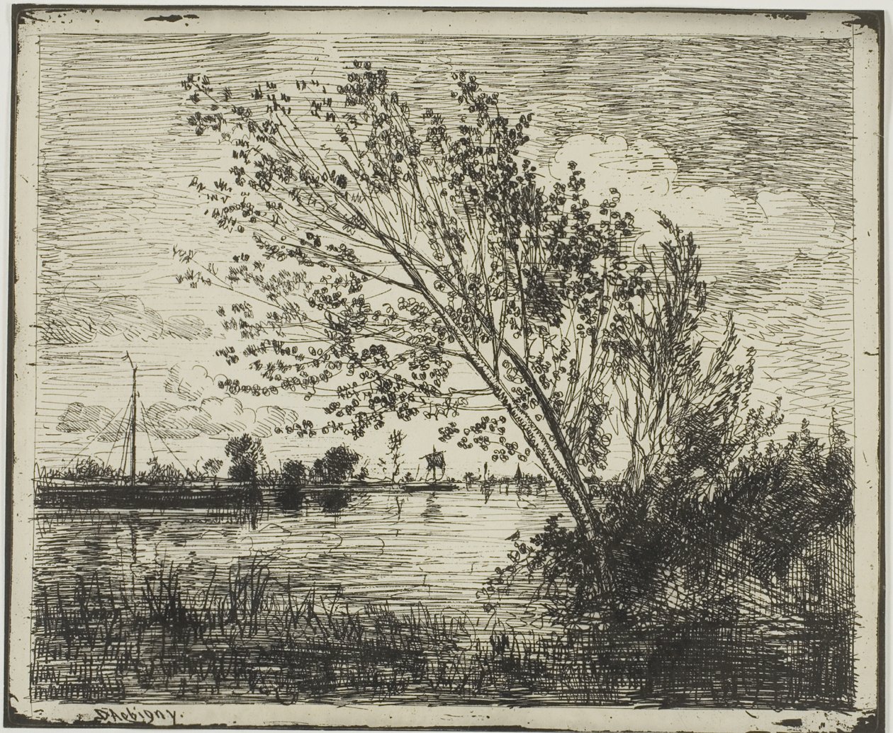 Gruppo di alberi di ontano da Charles Francois Daubigny