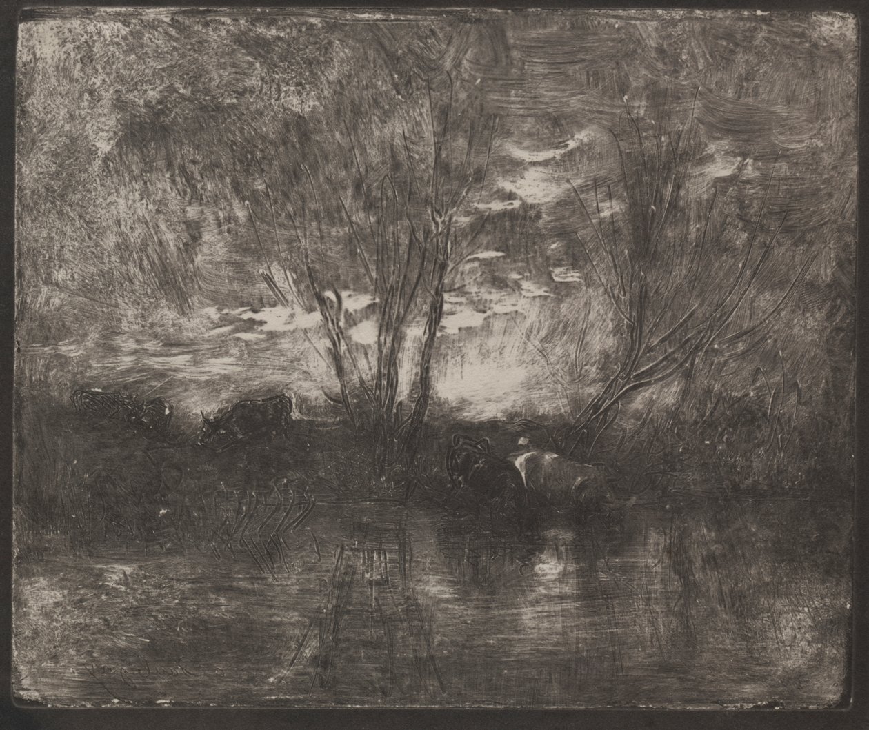 Mucche a un abbeveratoio da Charles Francois Daubigny
