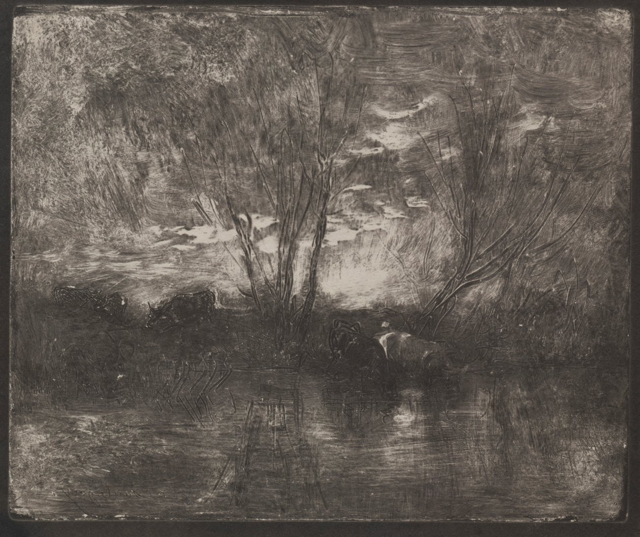 Mucche a un abbeveratoio da Charles Francois Daubigny