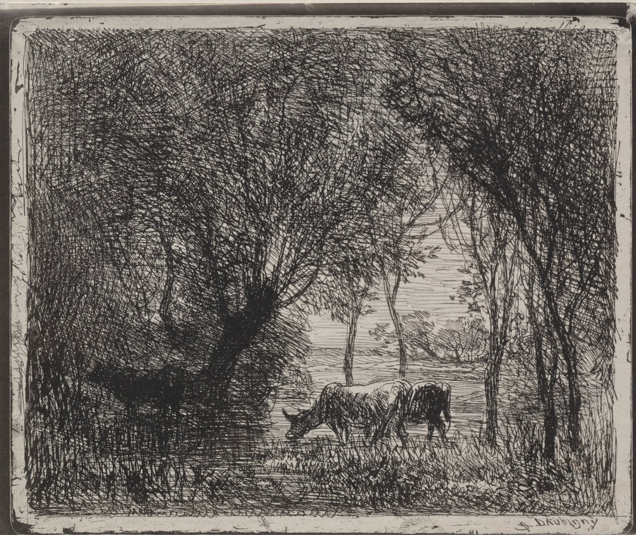Mucche nel bosco, impressione originale 1862, stampata nel 1921 da Charles Francois Daubigny