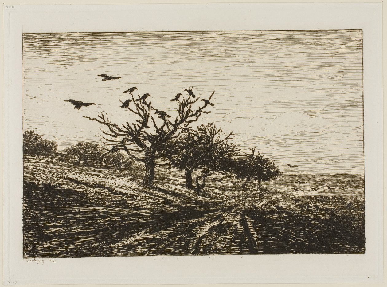 Corvi su un albero da Charles Francois Daubigny
