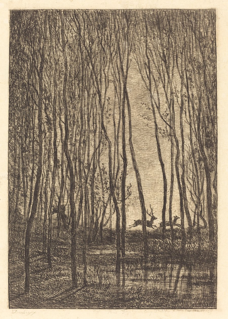 Cervi nel Bosco (Les Cerfs sous bois) da Charles Francois Daubigny