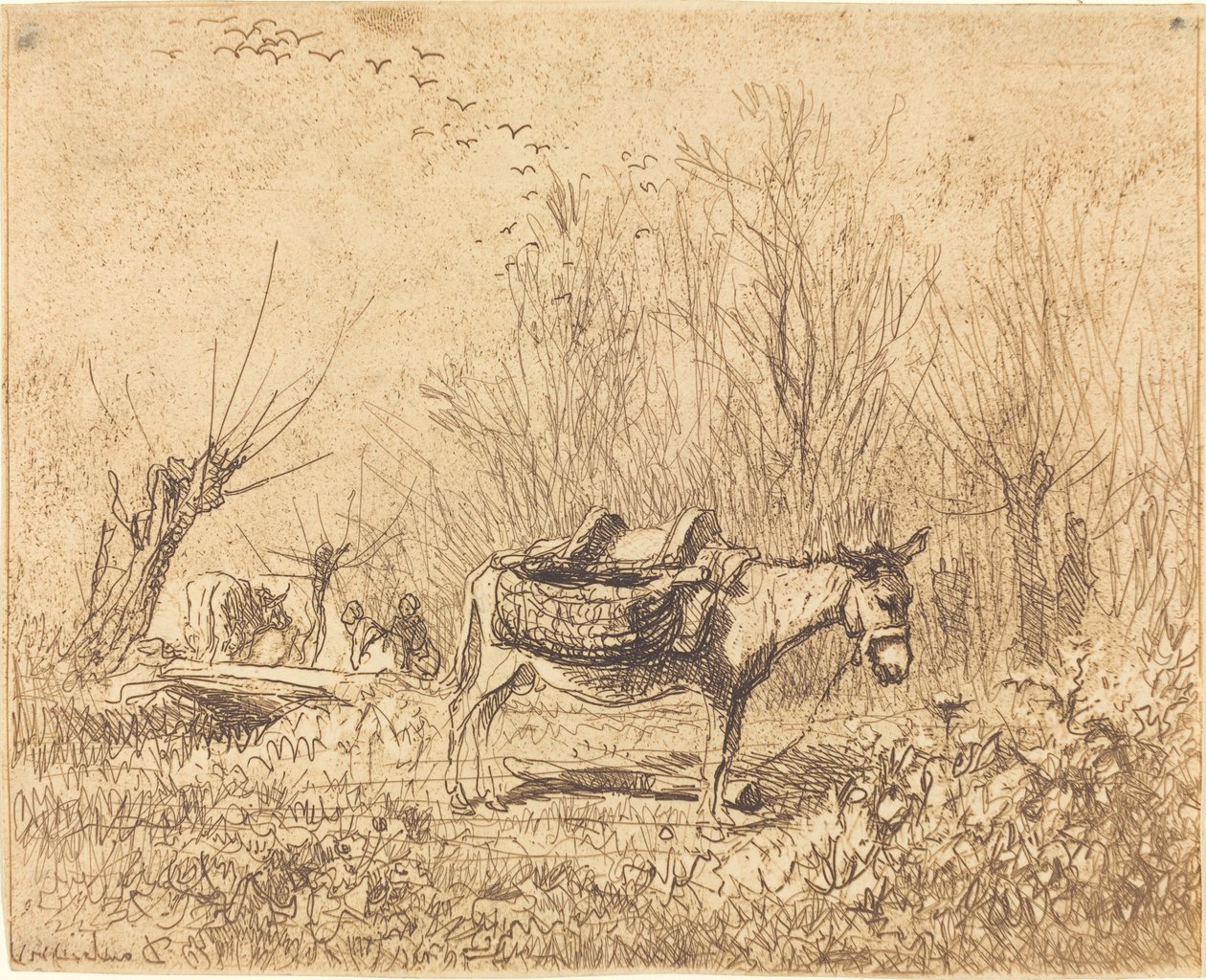 Asino in un campo da Charles Francois Daubigny