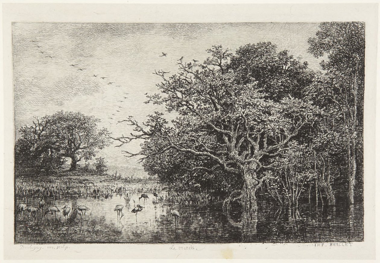 La palude con cicogne da Charles Francois Daubigny