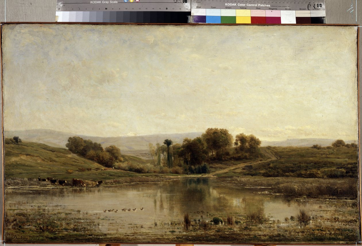 Lo stagno da Charles Francois Daubigny