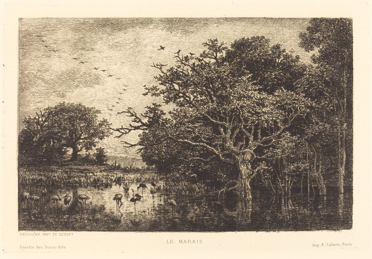 Palude (Le Marais) da Charles Francois Daubigny