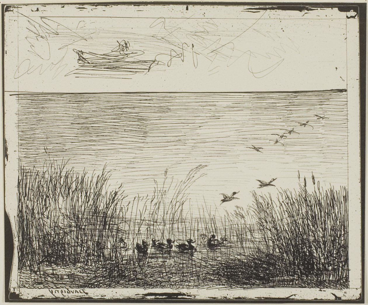 Palude con anatre da Charles Francois Daubigny