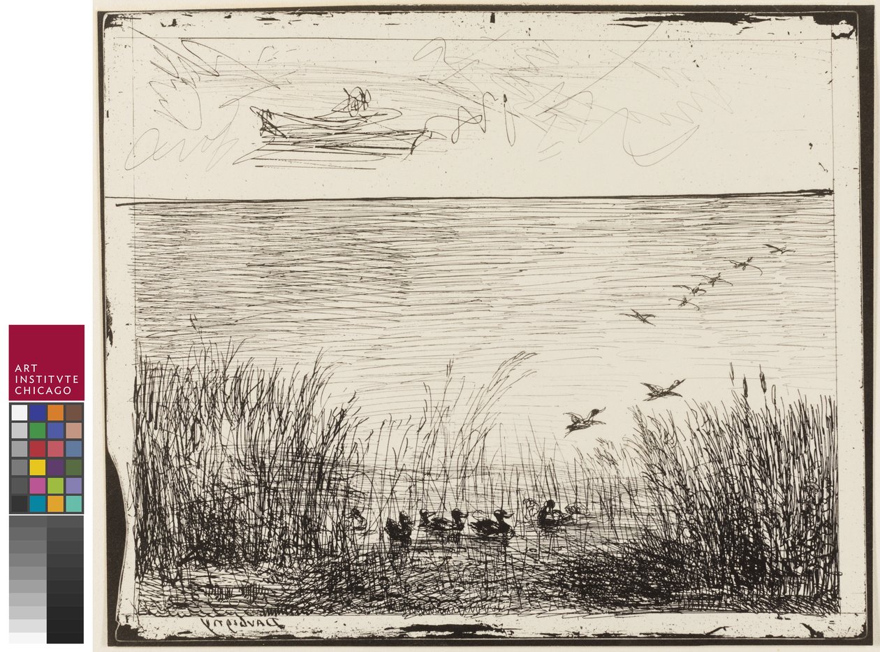 Palude con anatre, 1862 da Charles Francois Daubigny