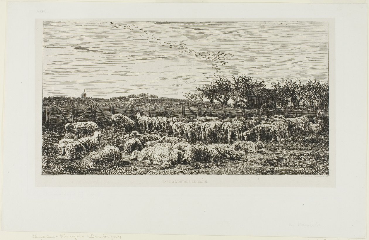 Prato con pecore da Charles Francois Daubigny