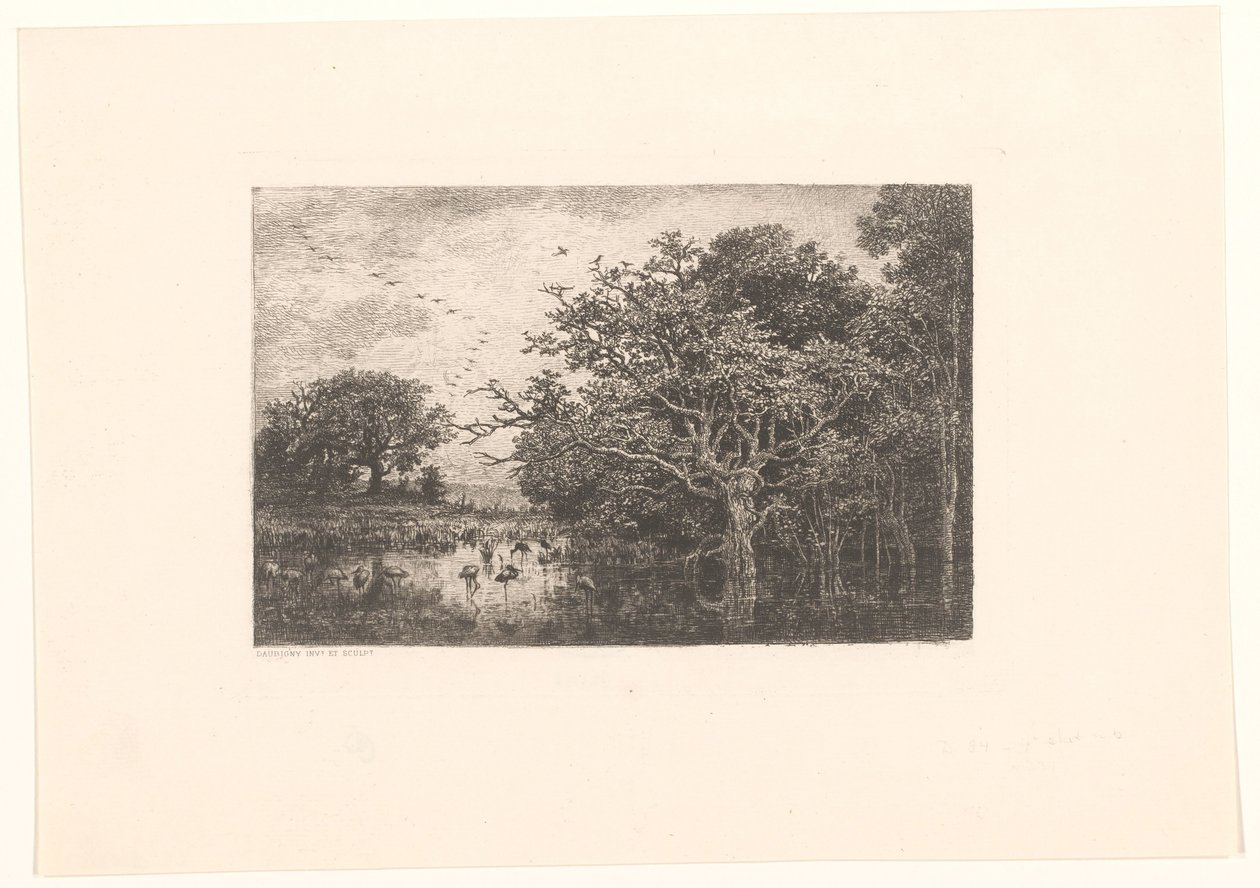Palude con cicogne da Charles Francois Daubigny