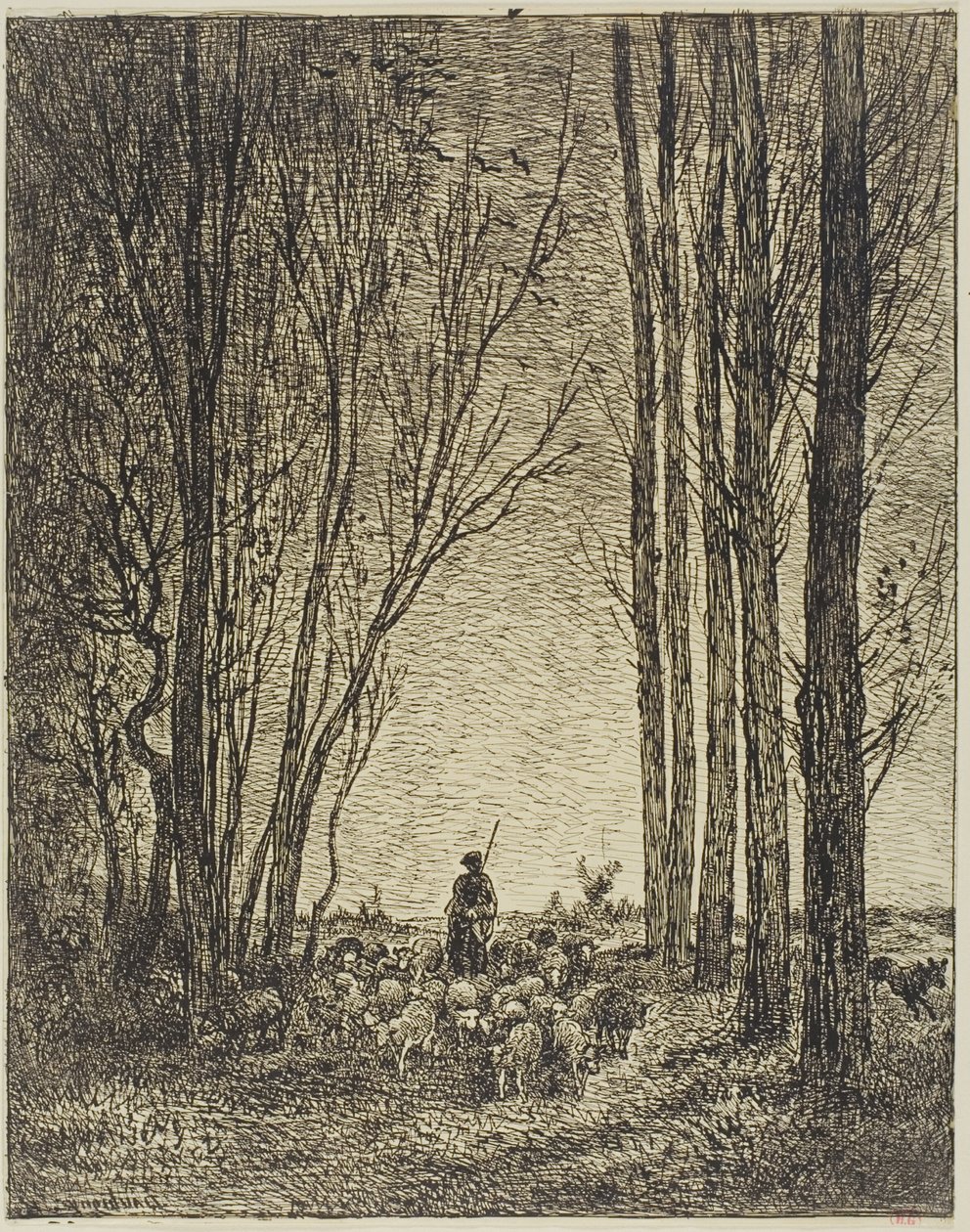 Ritorno del gregge da Charles Francois Daubigny