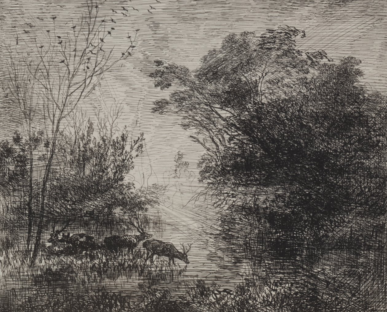 Cervi da Charles Francois Daubigny