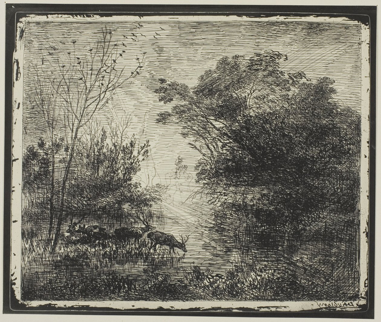 Cervi da Charles Francois Daubigny
