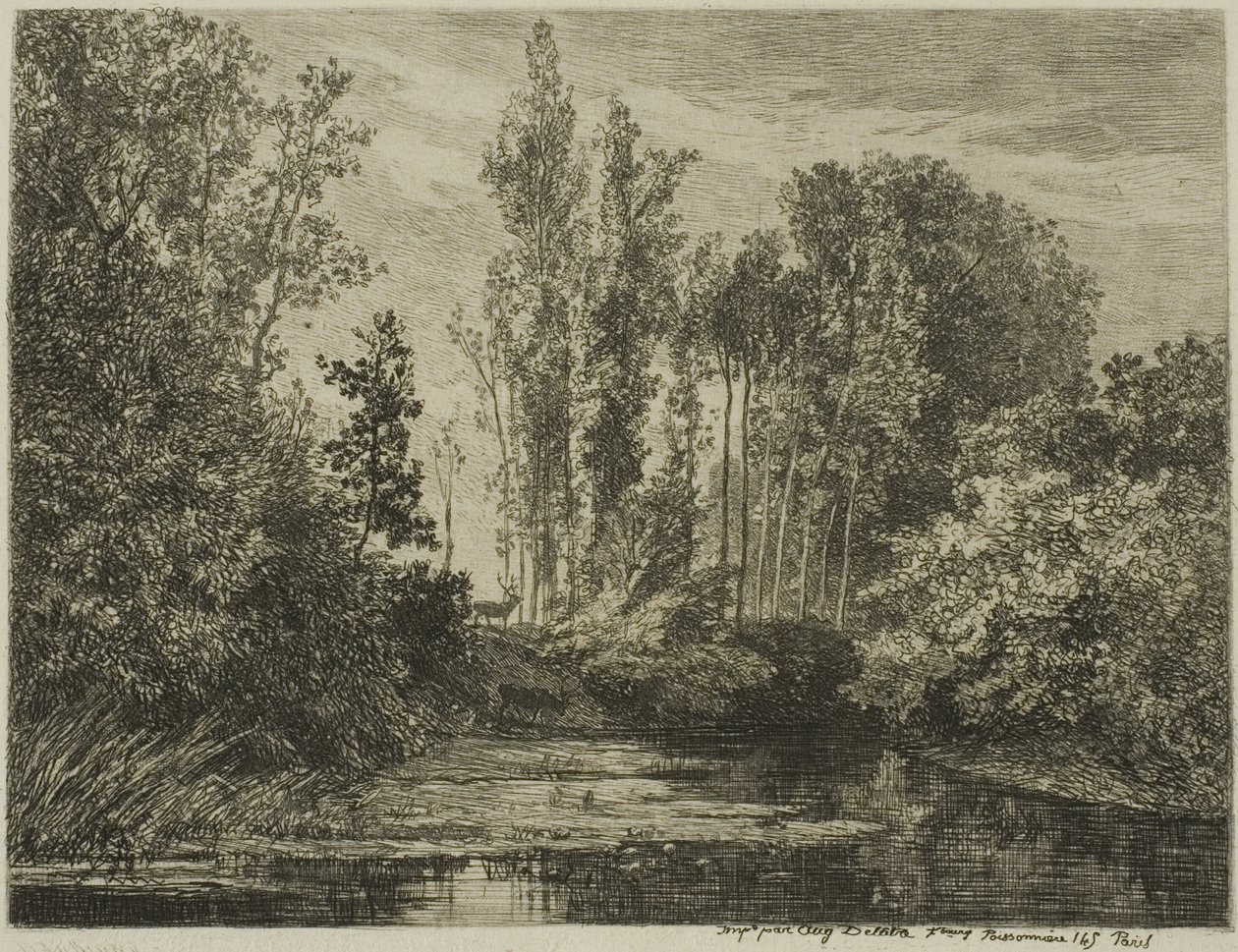Cervi in riva al mare da Charles Francois Daubigny