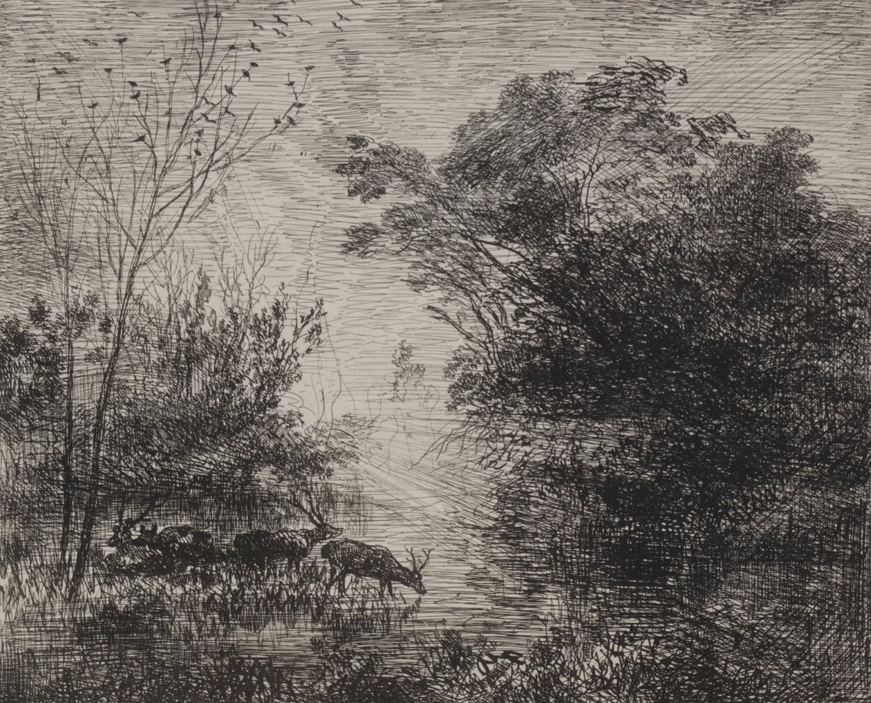 Cervi da Charles Francois Daubigny
