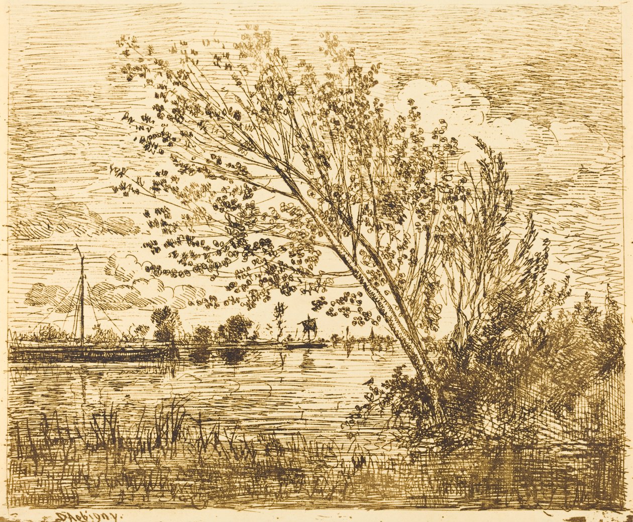 Boschetto di ontani da Charles Francois Daubigny