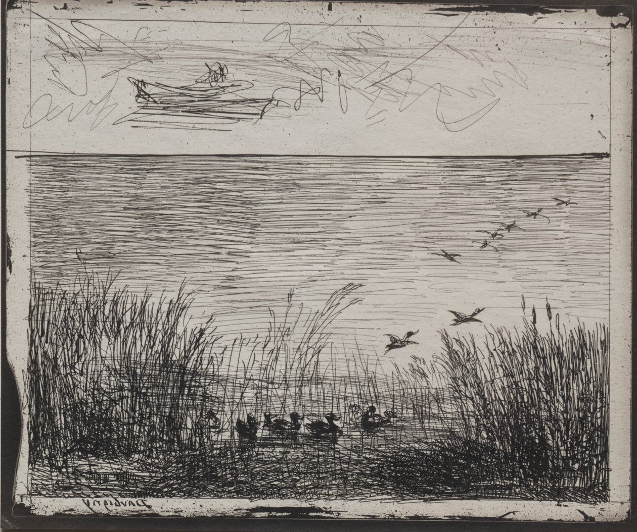 Palude con anatre da Charles Francois Daubigny
