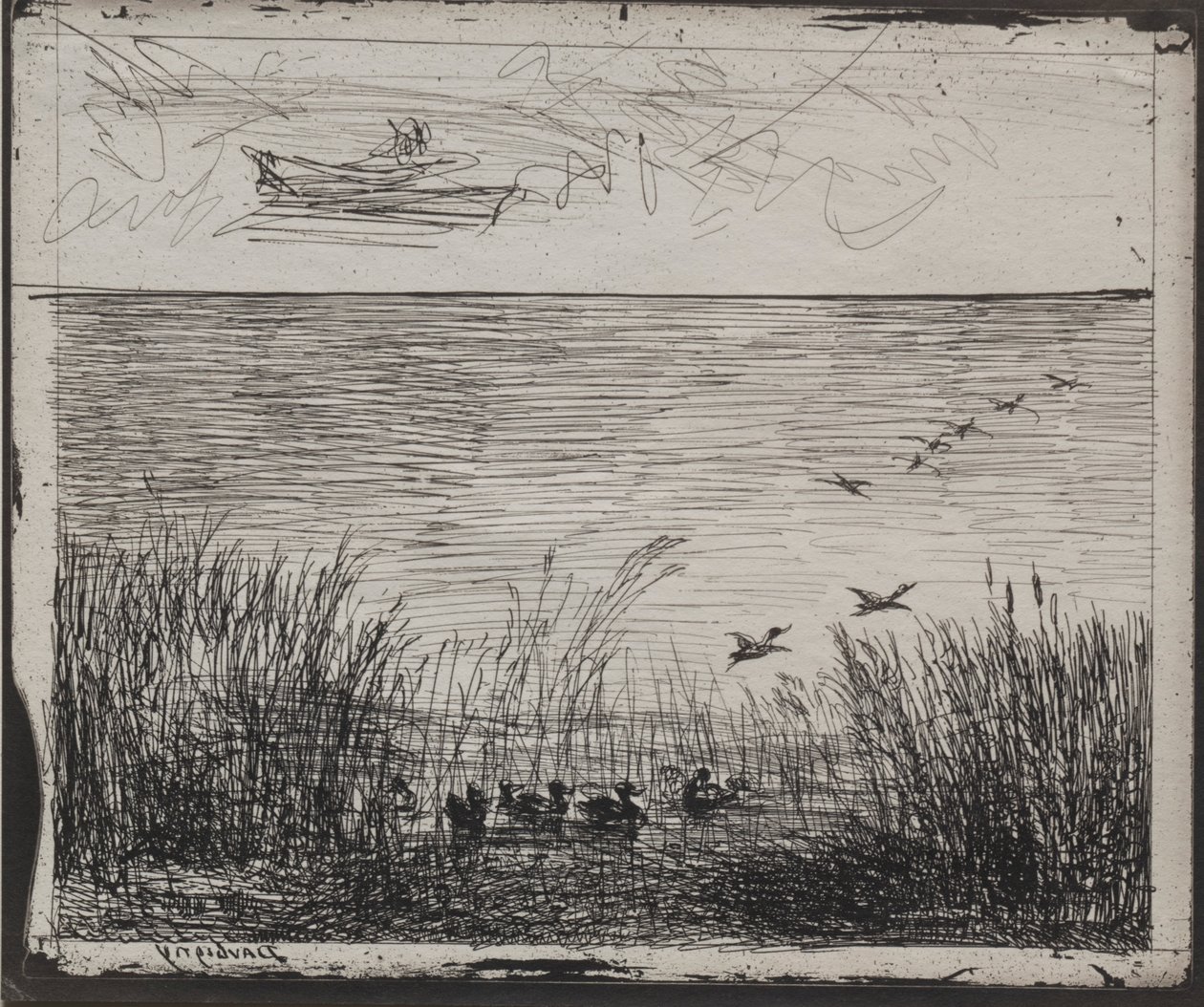 Palude con anatre, impressione originale 1862, stampata nel 1921 da Charles Francois Daubigny