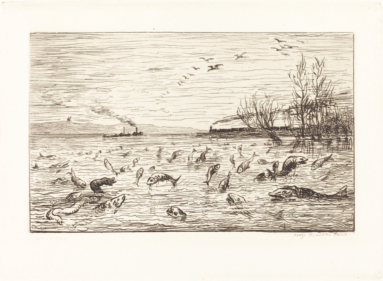 I pesci si rallegrano quando il mozzo se ne va da Charles Francois Daubigny