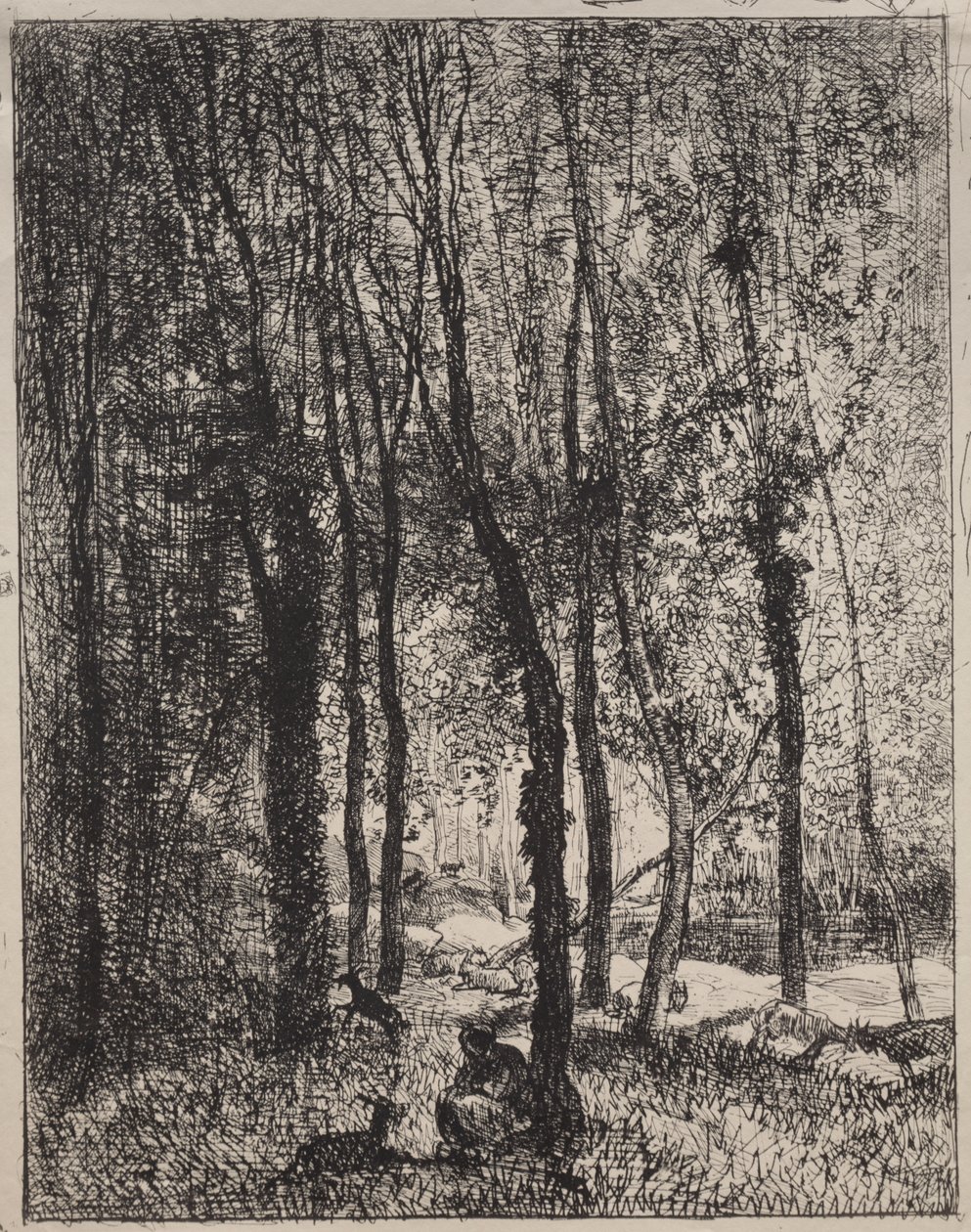 La capraia da Charles Francois Daubigny