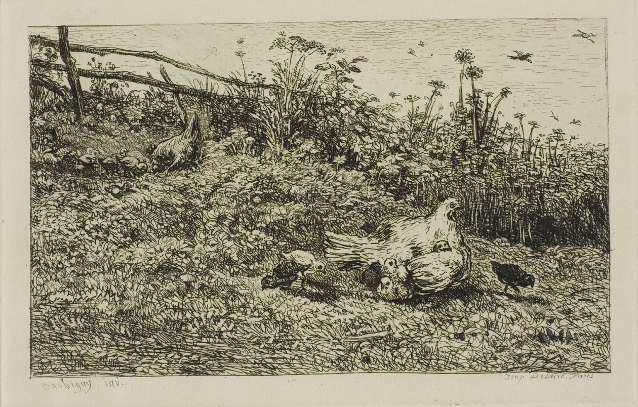 La gallina e i suoi pulcini da Charles Francois Daubigny