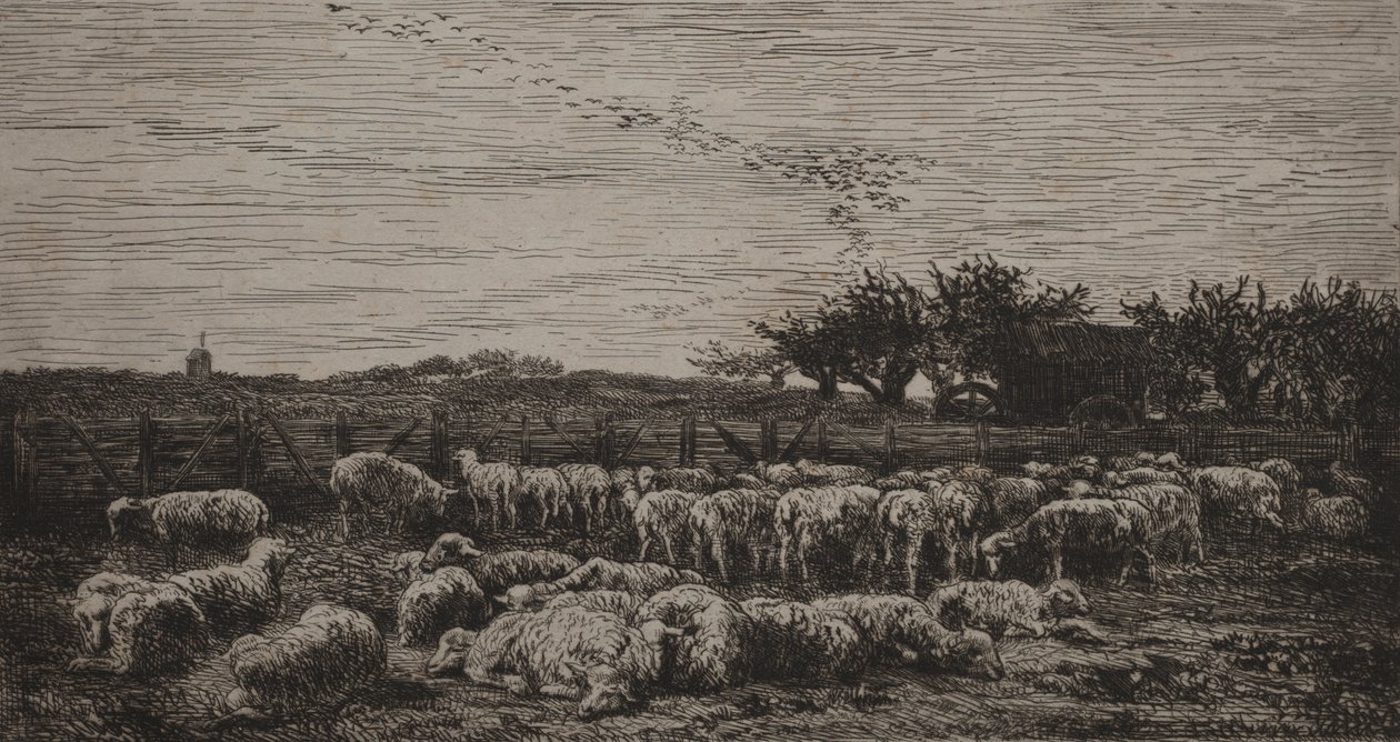Il grande ovile da Charles Francois Daubigny