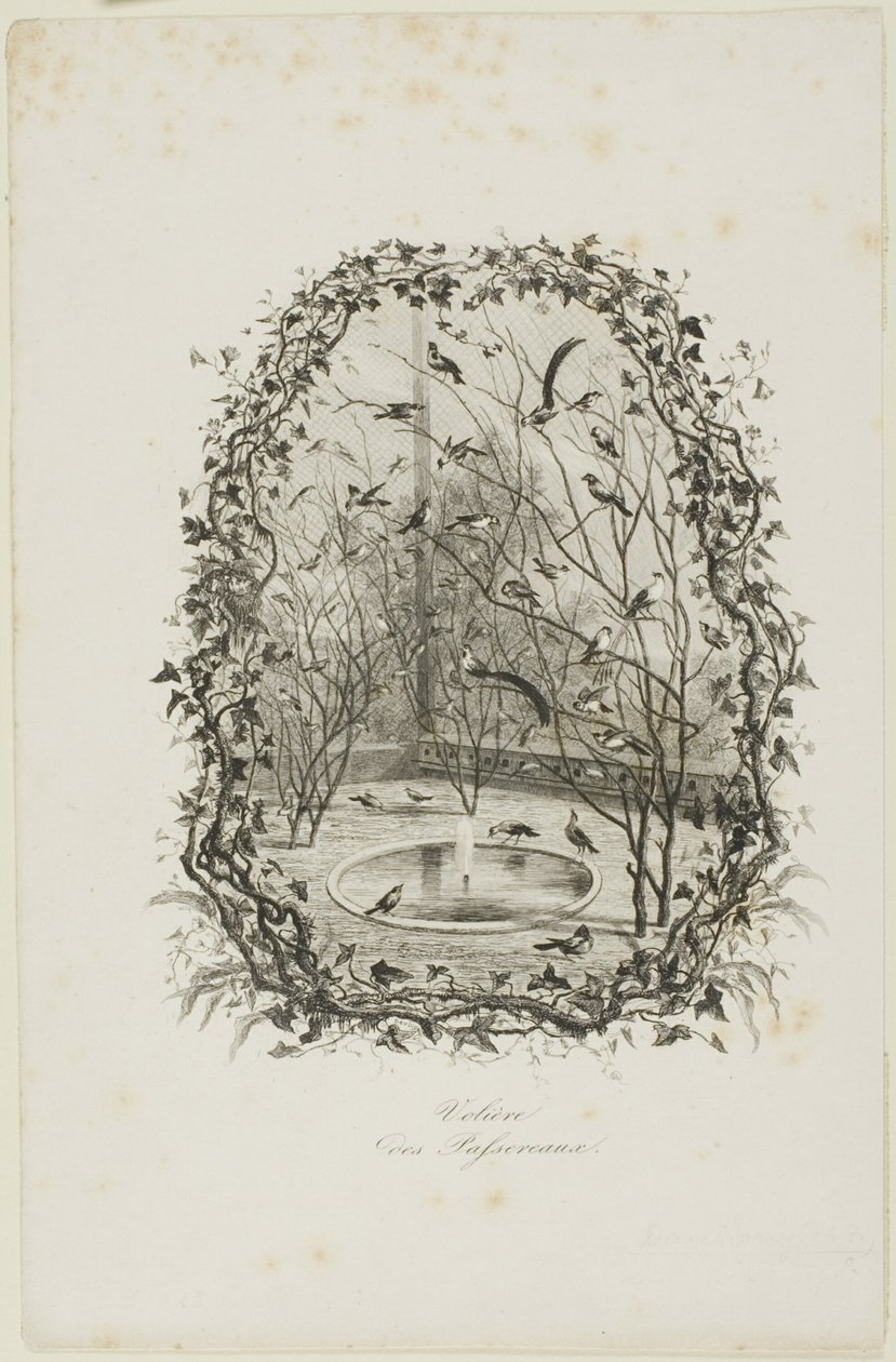 La voliera dei passeri da Charles Francois Daubigny