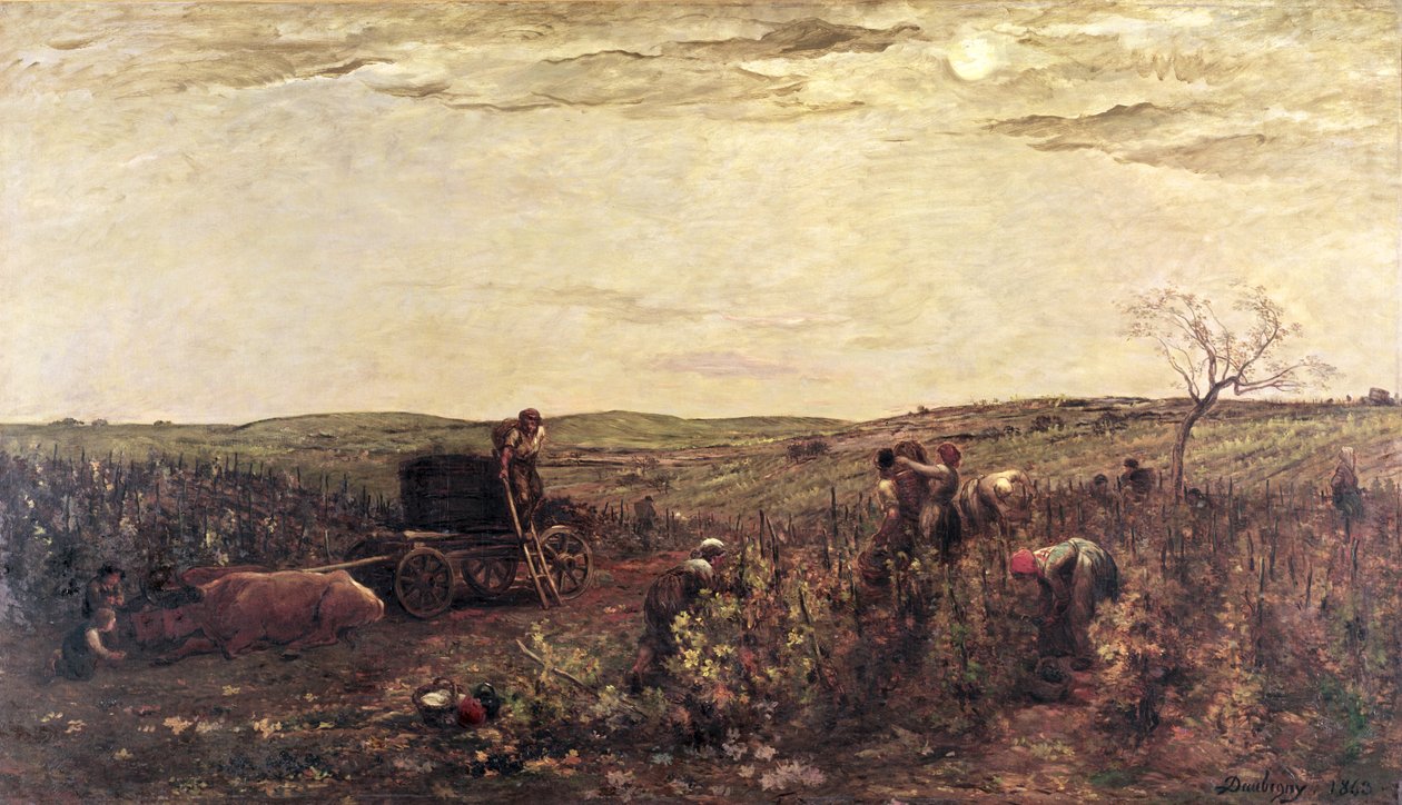 La vendemmia in Borgogna, 1863 da Charles Francois Daubigny