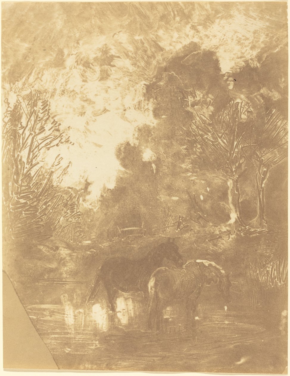 Due cavalli a un abbeveratoio da Charles Francois Daubigny