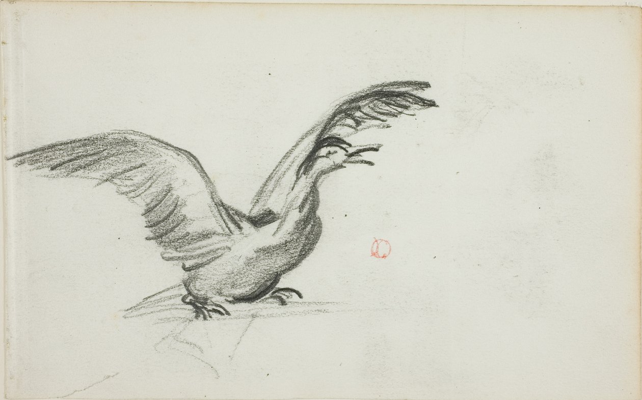Duetto selvaggio (recto); due figure femminili nude in piedi in nicchie (verso) da Charles Francois Daubigny