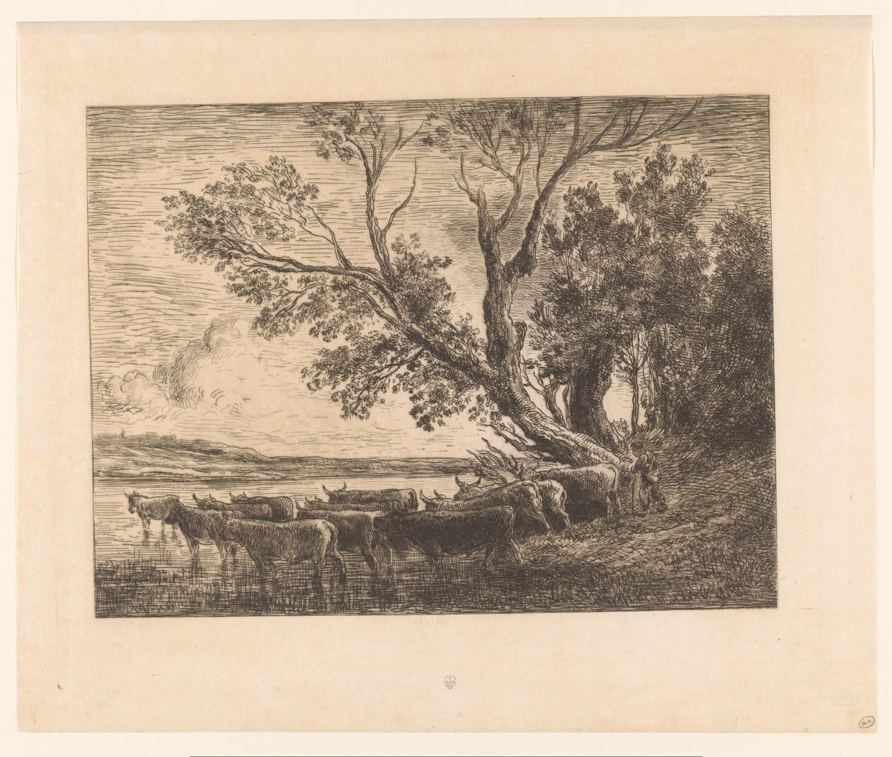 Paesaggio con bovini guadanti da Charles François Daubigny (attributed to)