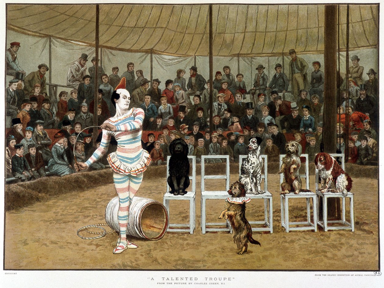I cani sapienti: scena circense con clown e cani - dopo Charles Green, cromolitografia inglese 1885 da Charles Green