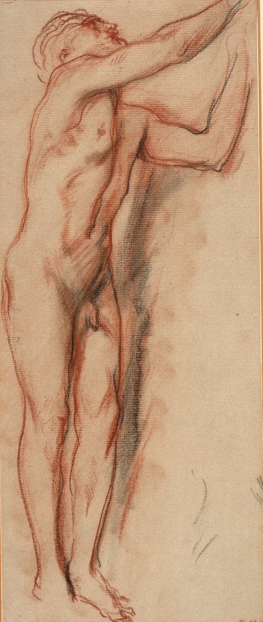 Nudo maschile da Charles Haslewood Shannon