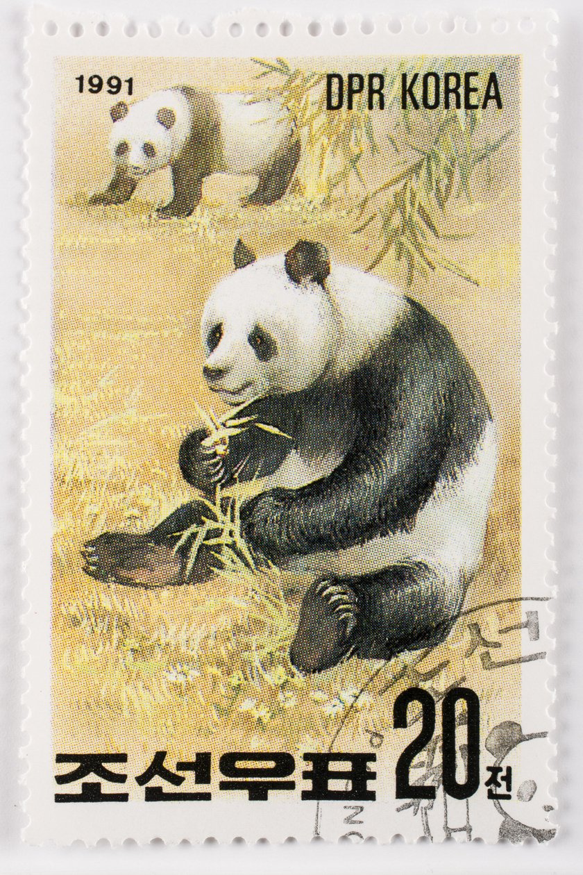 Francobollo, Corea del Nord, Ailuropoda melanoleuca, Grande panda, Panda gigante da Augustus Kollner