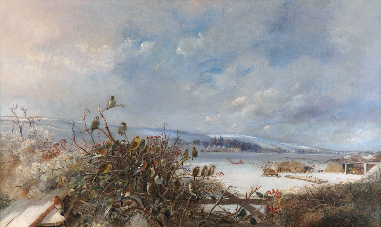 Uccelli di una Piuma da Charles Henry Clifford Baldwyn