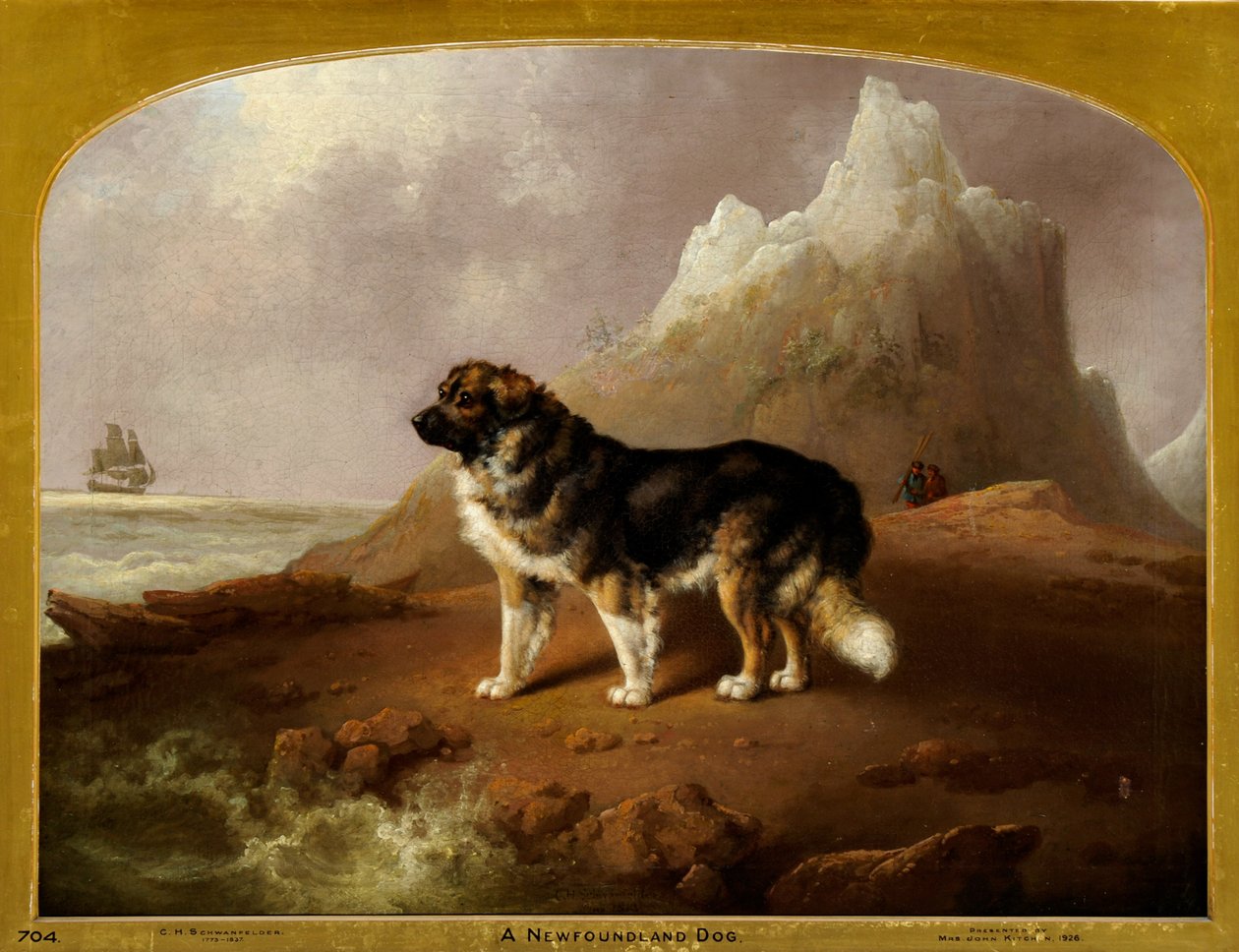 Un cane di Terranova da Charles Henry Schwanfelder