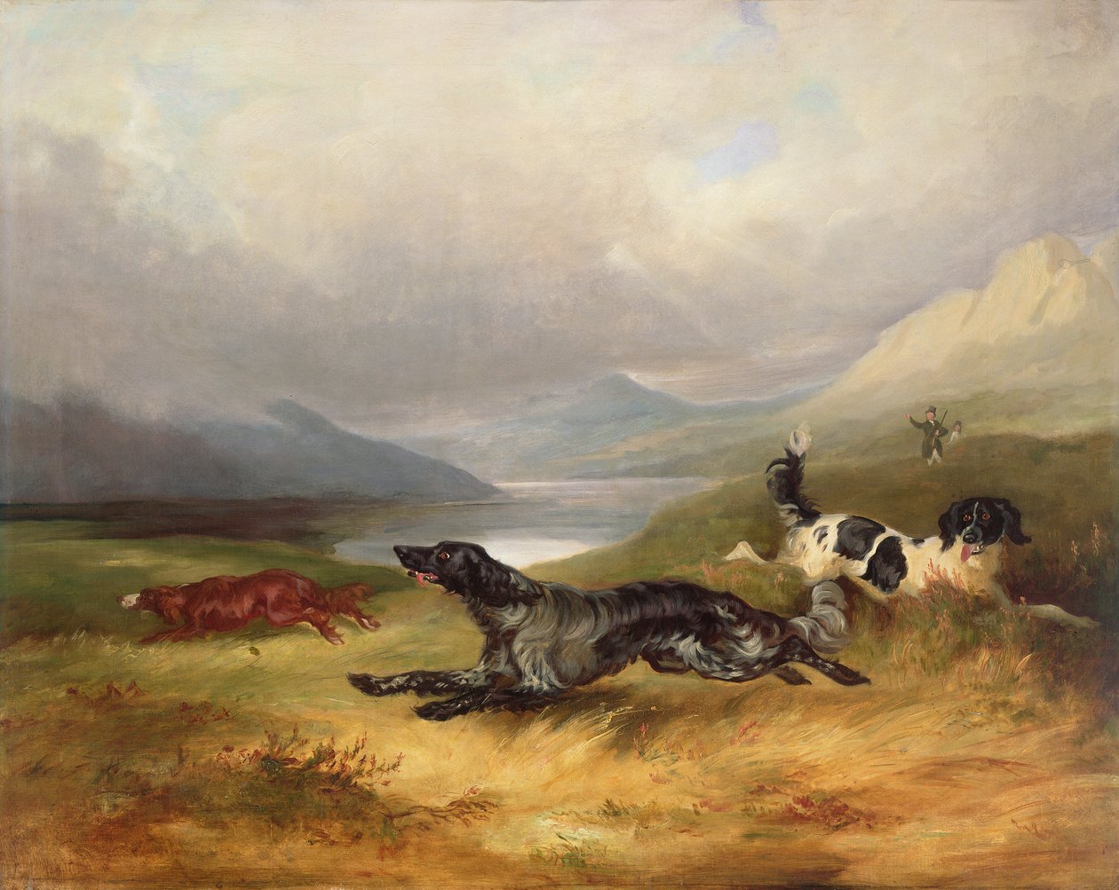 Sulla pista da Charles Henry Schwanfelder